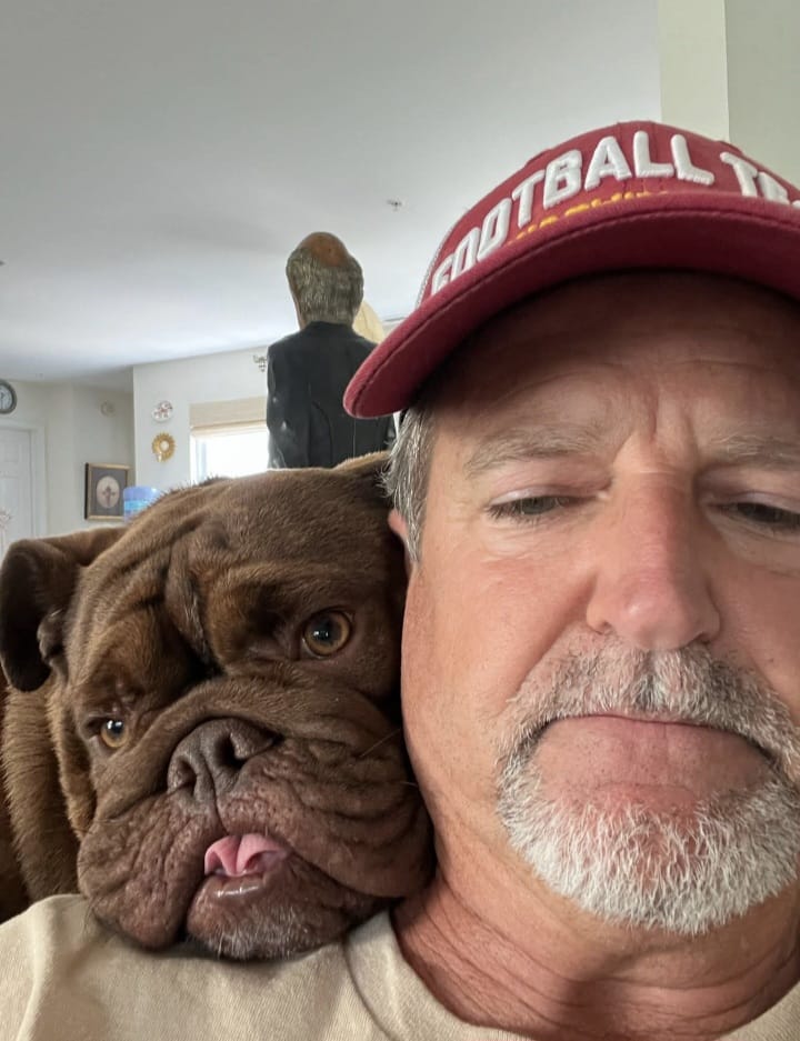 Mike with one of his chocolate English Bulldogs at home