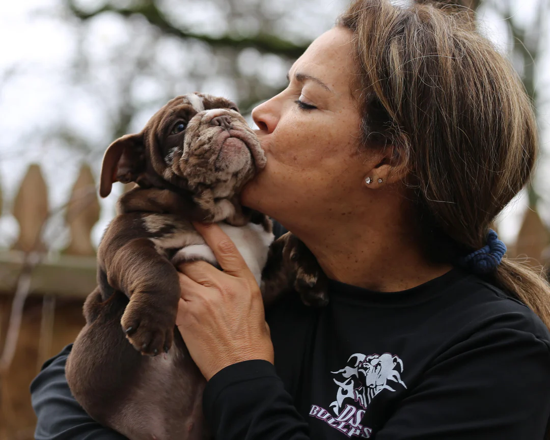 A healthy I Am Bulldog puppy playing outdoors