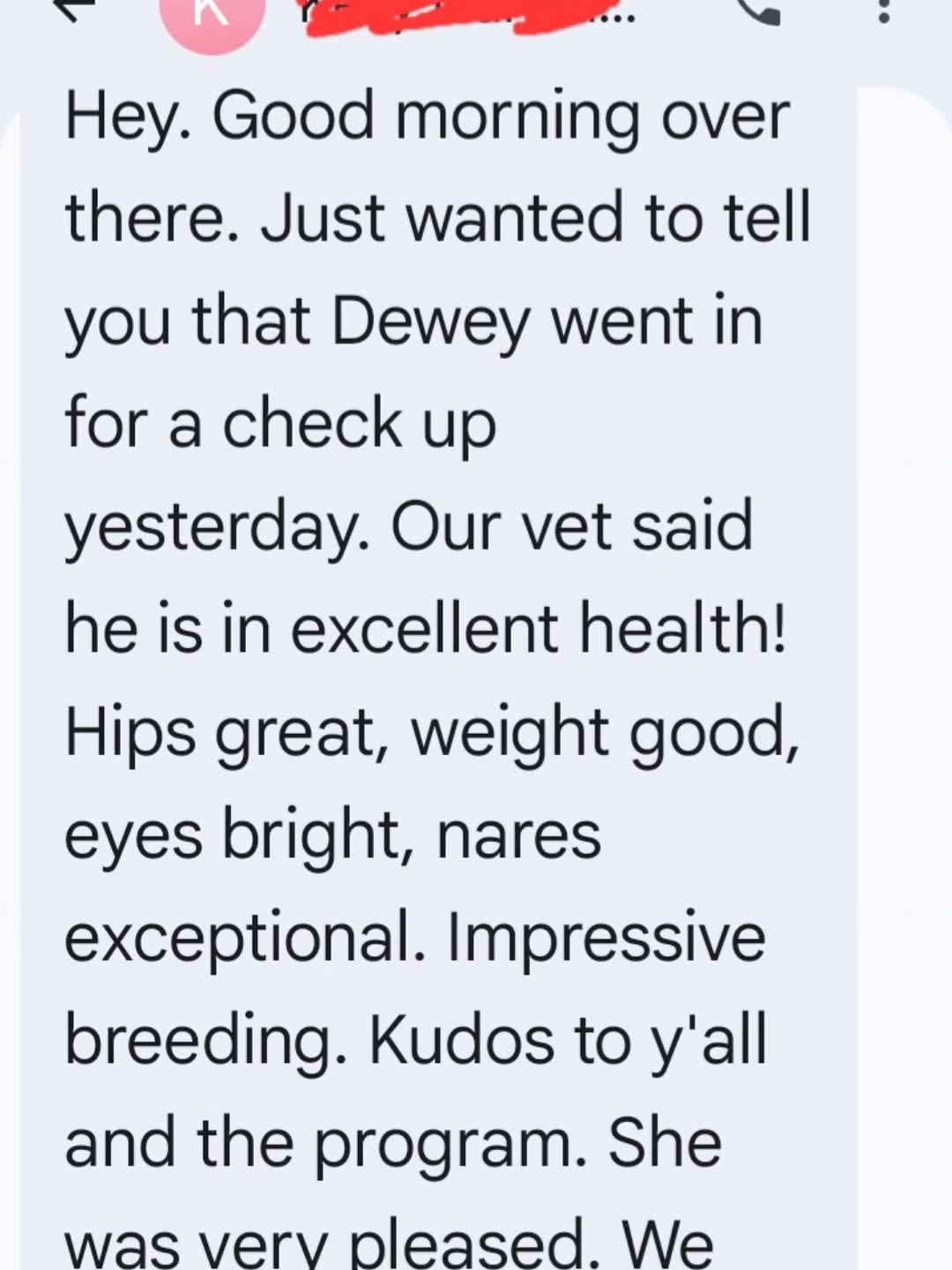Text message from an I Am Bulldog family: their vet said the puppy is in excellent health